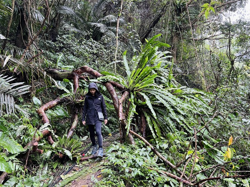 刚买的lowa登山鞋拆箱就拿出去测试，不愧是顶级户外运动鞋品牌